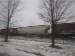 TCMX 350364